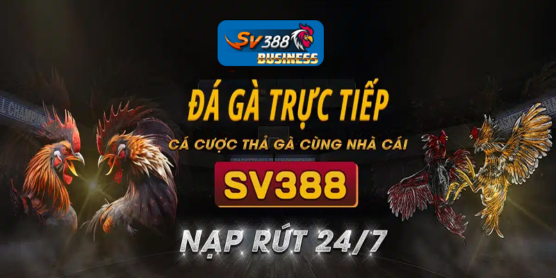 sức hút của đá gà SV388